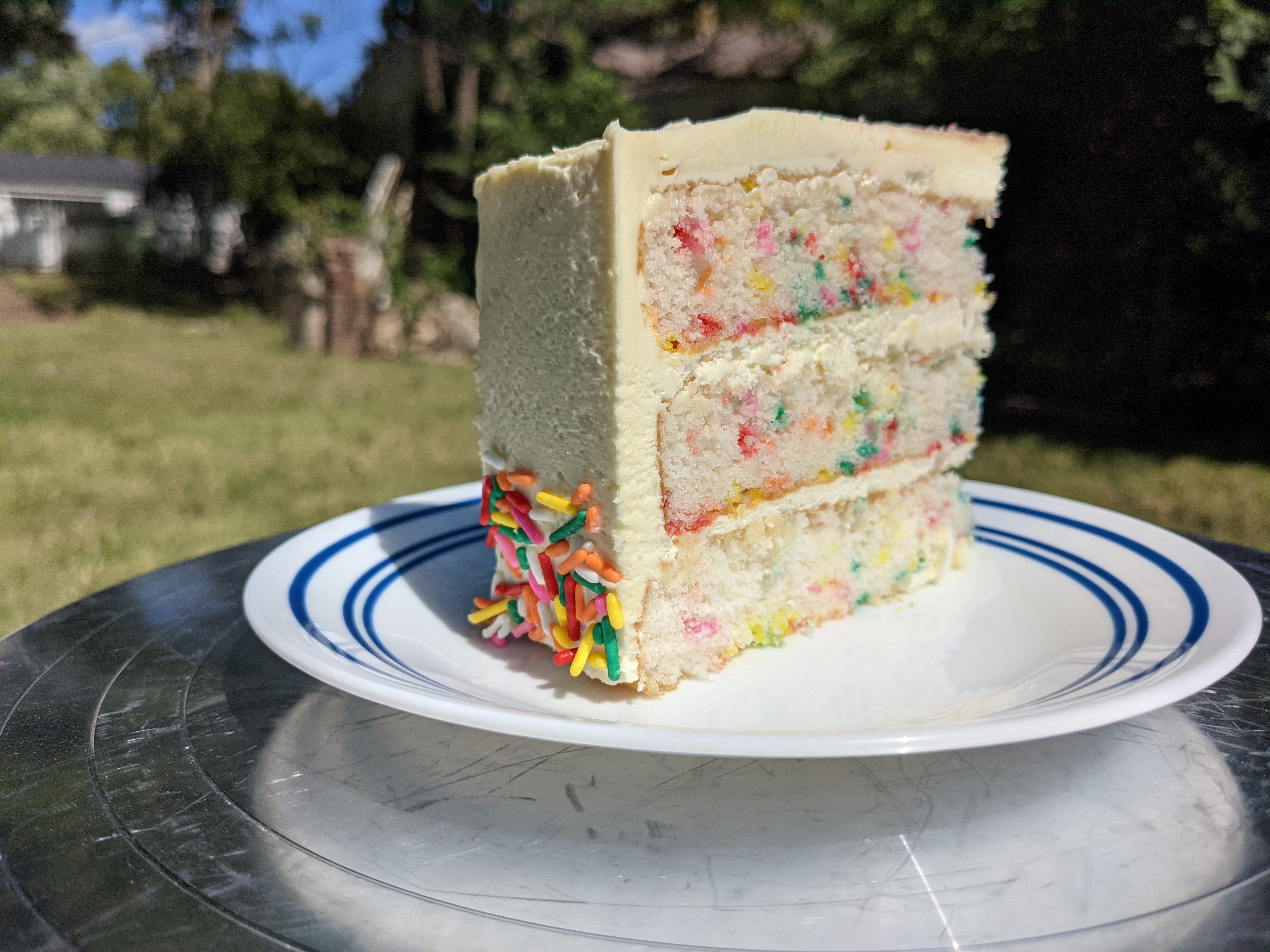 A slice of confetti cake