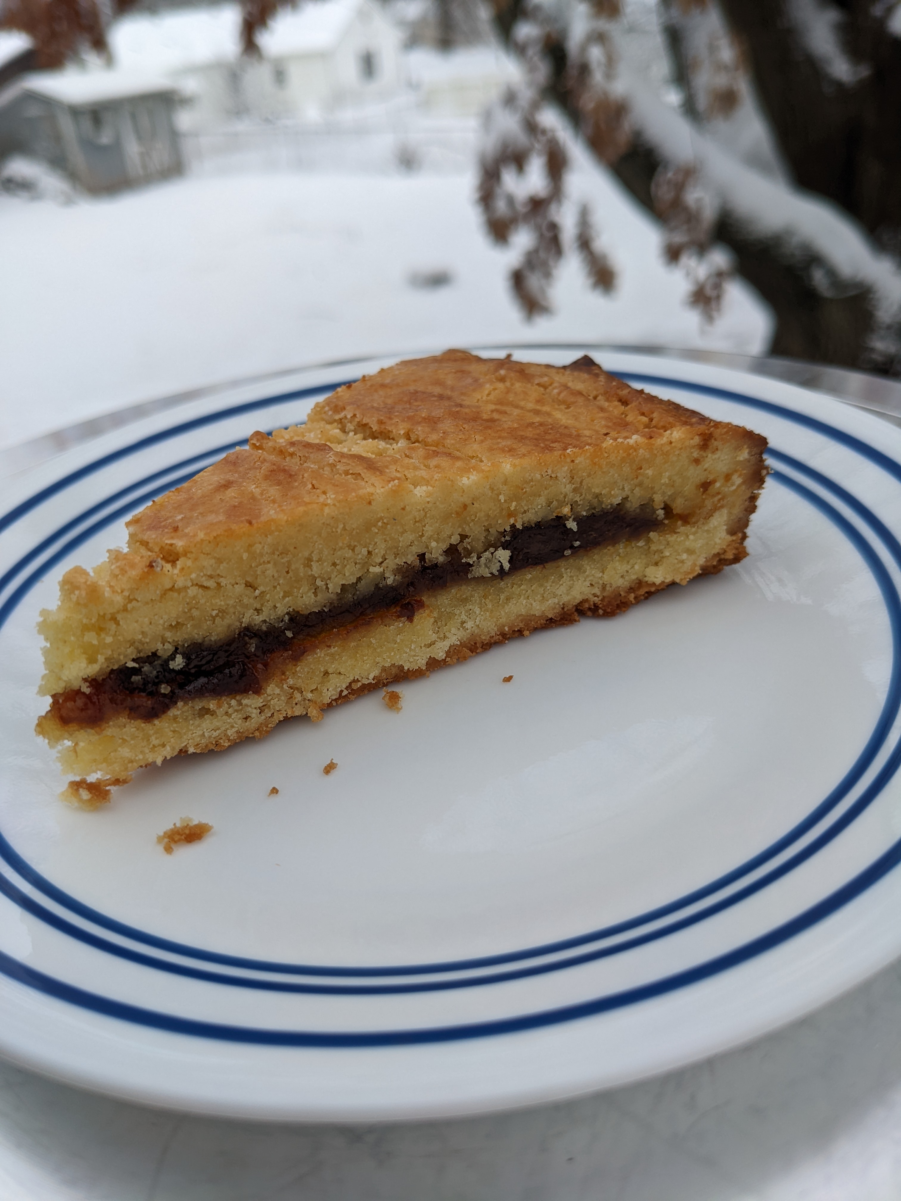 A slice of butter cake with a dark purple fruit layer