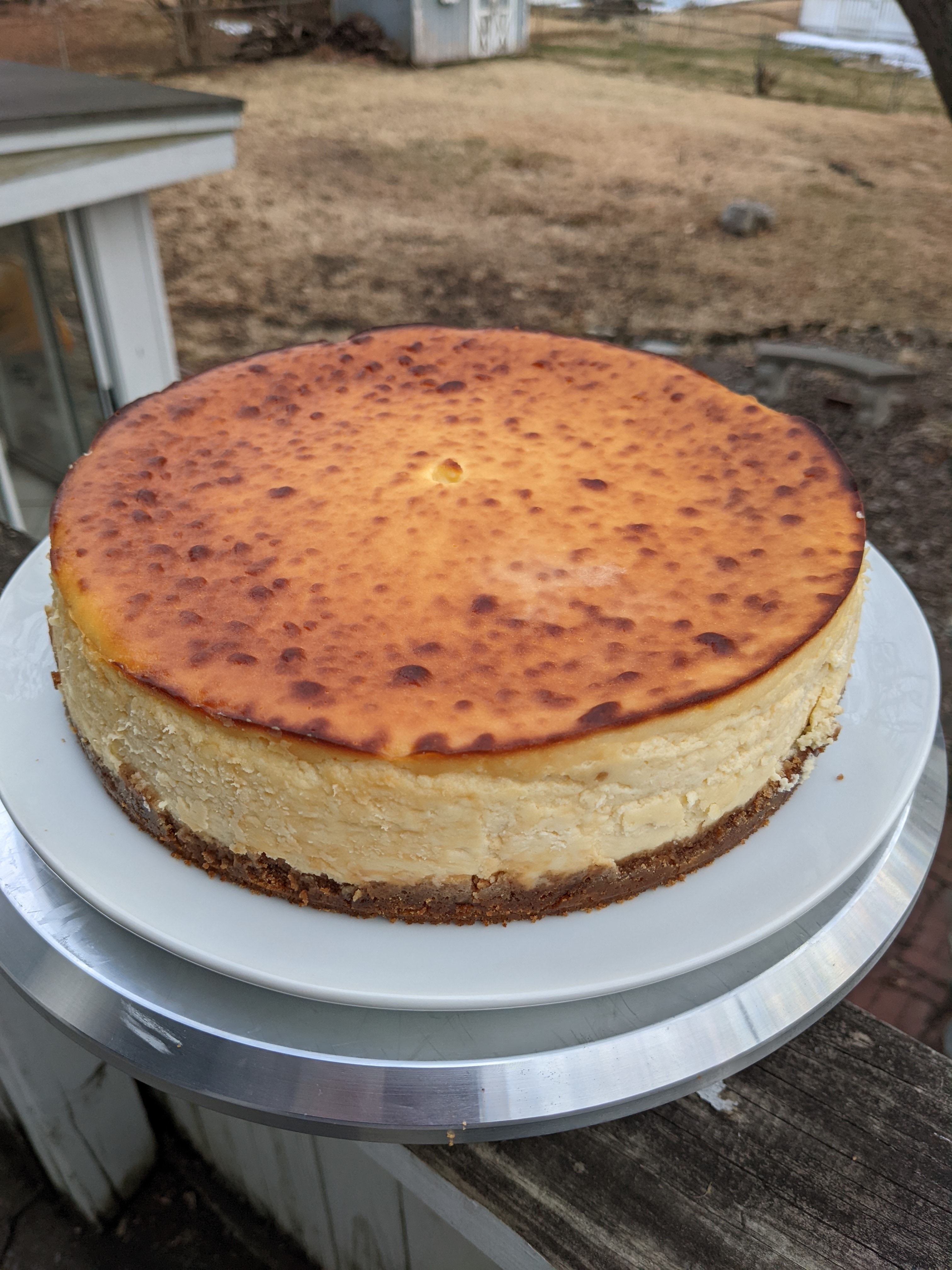A cheesecake with yellow sides and a golden top