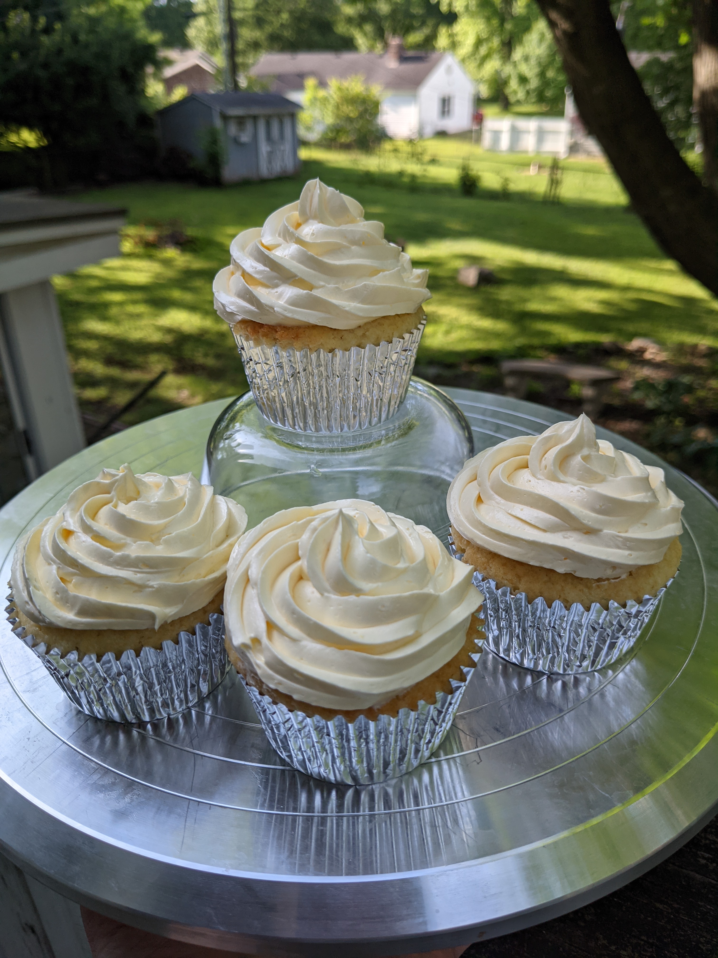 Yellow Cupcakes